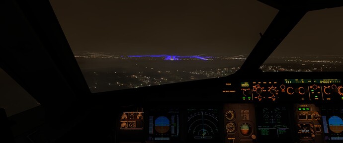 Microsoft Flight Simulator 2024 - 1.1.9.0 11_28_2024 4_53_10 PM