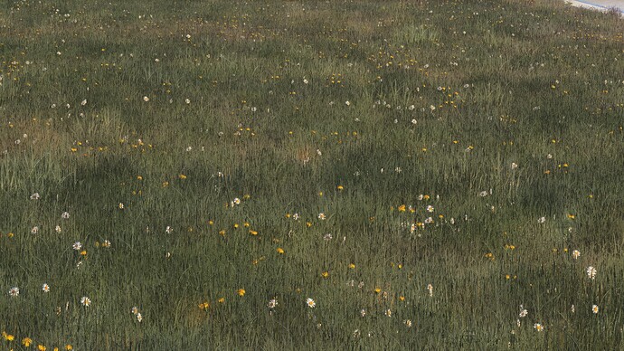 Microsoft Flight Simulator 2024 27.12.2024 14_42_20