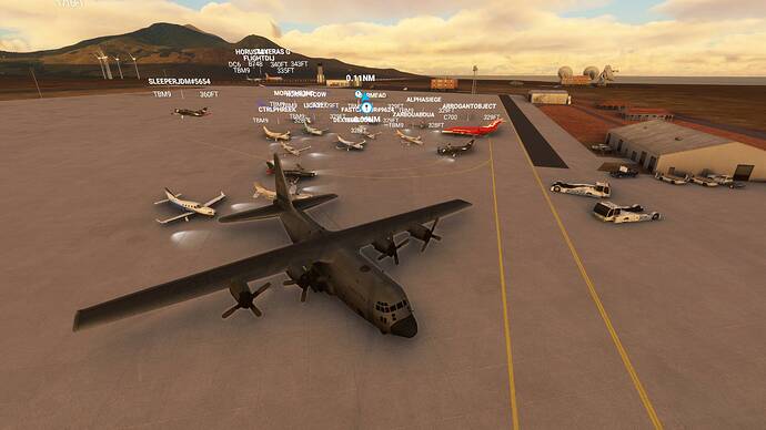 Microsoft Flight Simulator 8_8_2021 2_40_58 PM