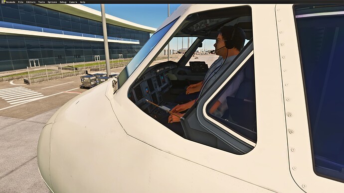 Microsoft Flight Simulator Screenshot 2024.10.02 - 00.00.34.08