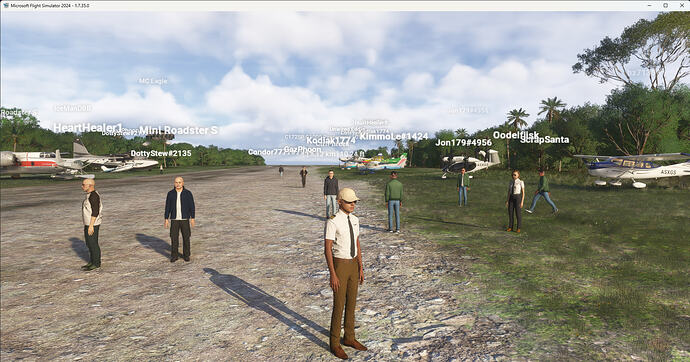 Microsoft Flight Simulator 2024 10-Jul-26 20_59_07