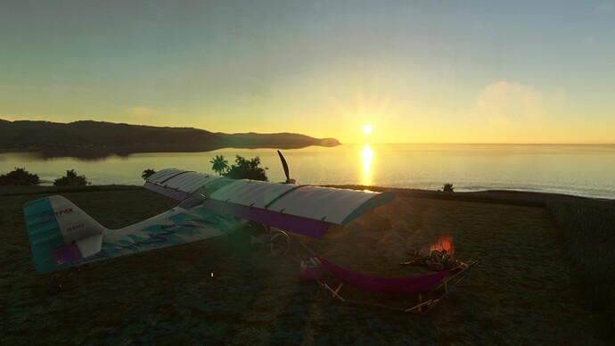 Microsoft Flight Simulator-2024_06_25-20-24-43