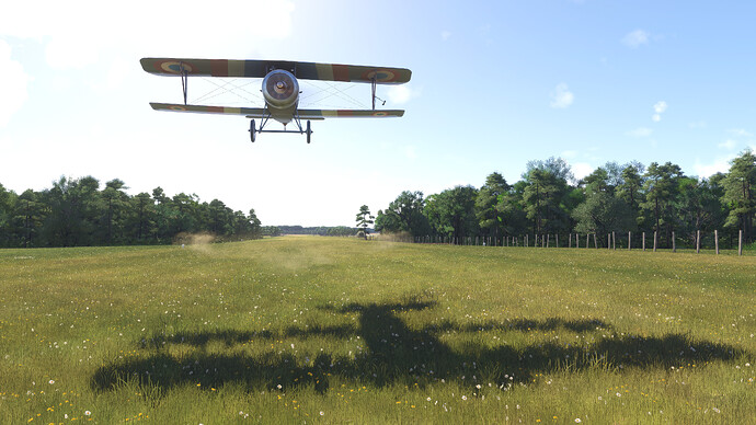 55001369926_af404c7203_4k