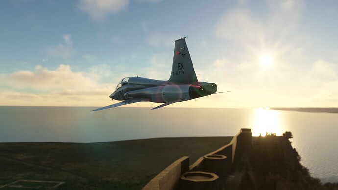 Microsoft Flight Simulator 12_11_2024 4_43_15 PM