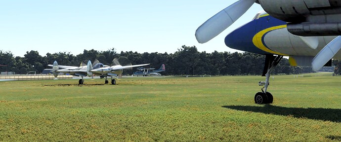 Lined Up and Waiting with Sister Watching