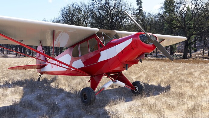Microsoft Flight Simulator 2024-2025_03_12-00-57-06