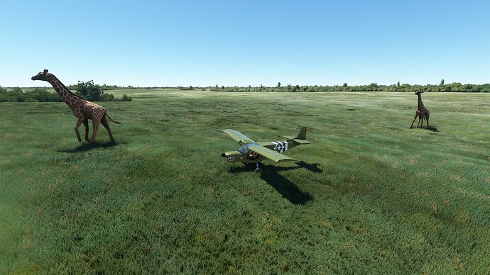 e4ad6de9-1919-4b8a-86d4-2e7f118f31b1