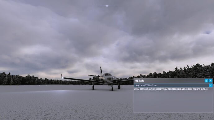 Microsoft Flight Simulator Screenshot 2022.01.20 - 20.06.42.19
