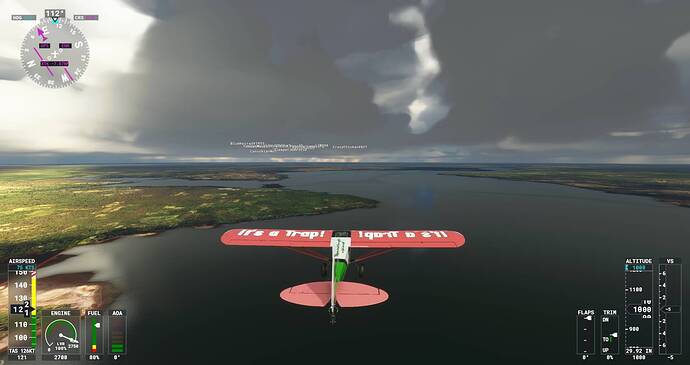 Microsoft Flight Simulator Screenshot 2021.07.29 - 21.06.21.37