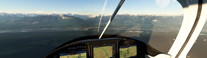 Microsoft Flight Simulator 7_19_2023 8_10_57 PM