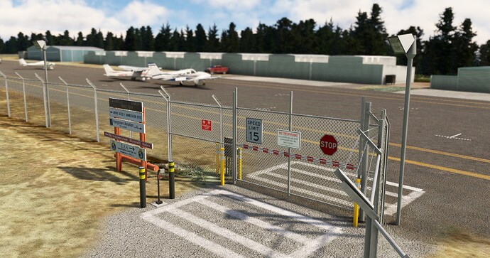 Microsoft Flight Simulator Screenshot 2024.01.19 - 12.36.06.51