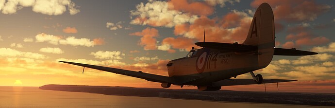 Microsoft Flight Simulator 6_14_2024 5_30_08 PM