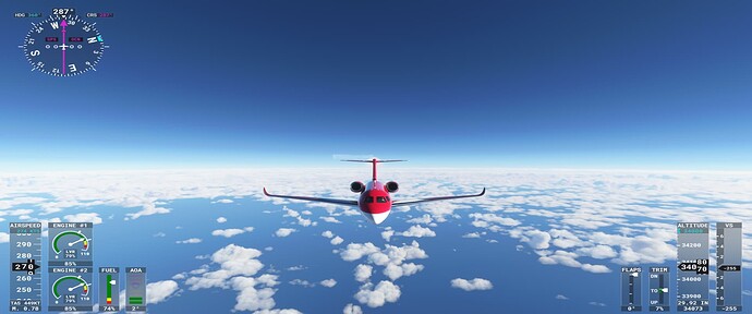 Microsoft Flight Simulator - 1.20.6.0 28.10.2021 10_19_59