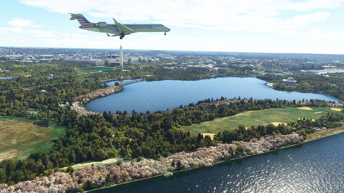 Microsoft Flight Simulator Screenshot 2021.07.31 - 00.30.05.97