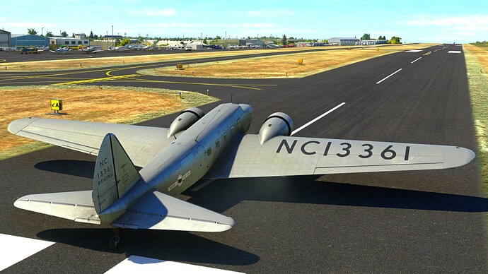 Microsoft Flight Simulator - 1.24.5.0 06.04.2022 02_17_35