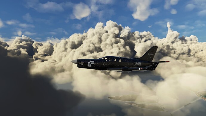 Microsoft Flight Simulator 12_10_2021 1_08_57 PM