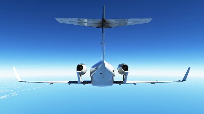 Microsoft Flight Simulator (4)