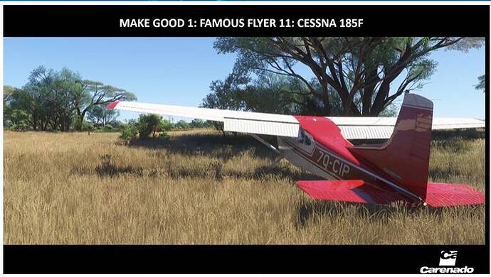 Famous Flyer 11