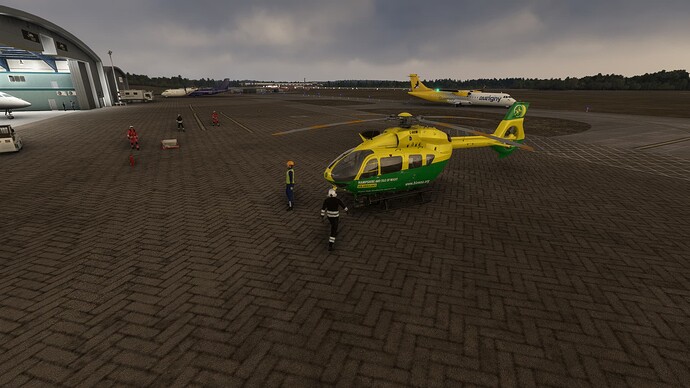 Microsoft Flight Simulator 3_12_2023 22_55_29