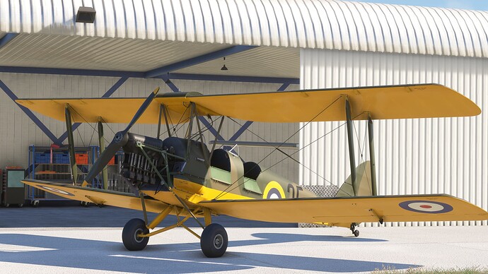 Microsoft Flight Simulator-2025_07_25-18-32-00