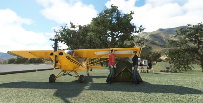 Microsoft Flight Simulator Screenshot 2023.03.20 - 07.01.13.92
