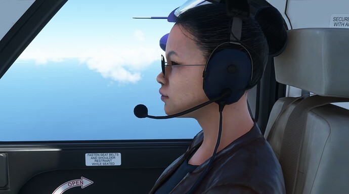Microsoft Flight Simulator 4_3_2022 1_11_16 PM