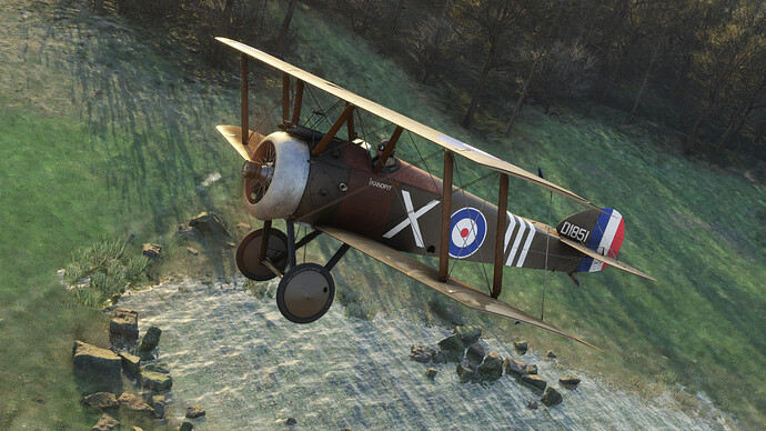 55121593568_caae33a0d6_4k