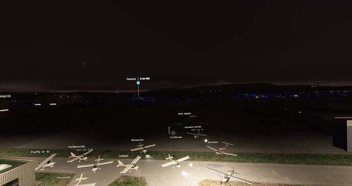 Microsoft Flight Simulator Screenshot 2021.07.17 - 22.51.04.22