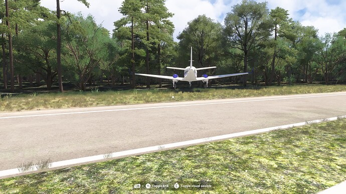 Microsoft Flight Simulator 2024-2025_09_12-17_16_32