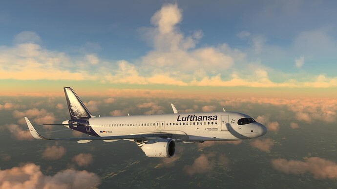 MSFS_07