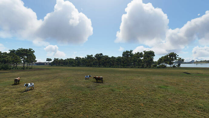 fantasy-of-flight_msfs_8