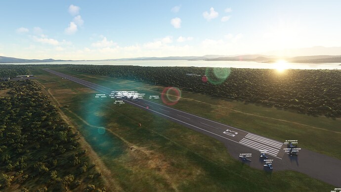 Microsoft Flight Simulator - 1.21.18.0 13.01.2022 21_14_46