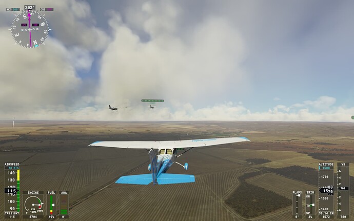 Microsoft Flight Simulator 24_06_2022 10_53_58 p.m.