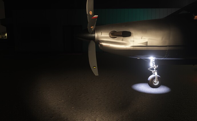 pc12 bug 6