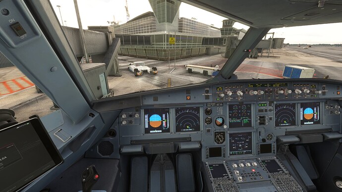 Microsoft Flight Simulator 10_10_2024 9_12_43 PM