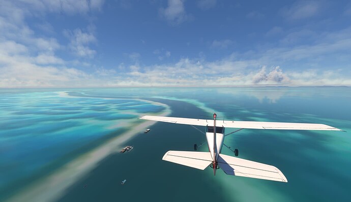 Microsoft Flight Simulator 31_01_2024 1_55_07