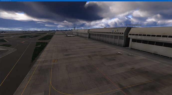Japan Tokyo (RJTT)