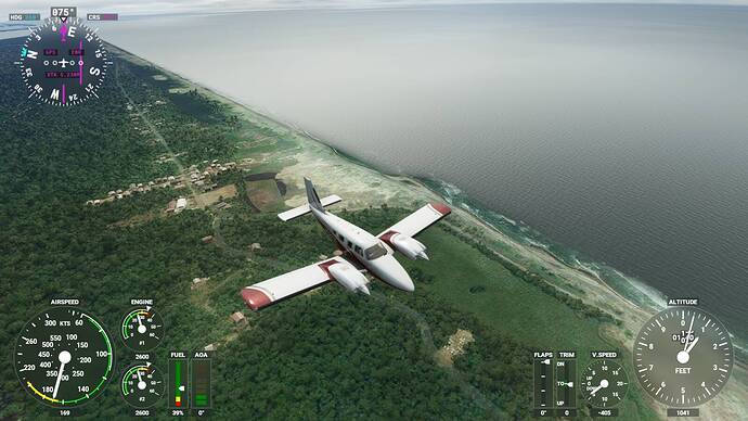 Microsoft Flight Simulator 6_2_2021 2_24_09 PM