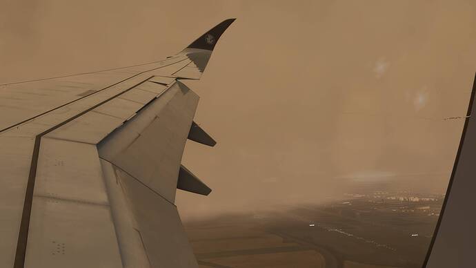 Microsoft Flight Simulator 2024-2026_02_05-16-29-03