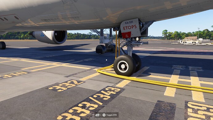 Microsoft Flight Simulator 2024 21_02_2025 03_18_50
