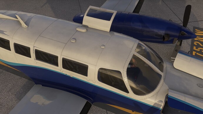 FlightSimulator2024 2025-07-11 22-13-27_030