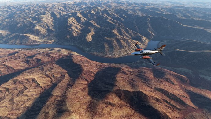 Microsoft Flight Simulator-2025_01_12-11-42-33