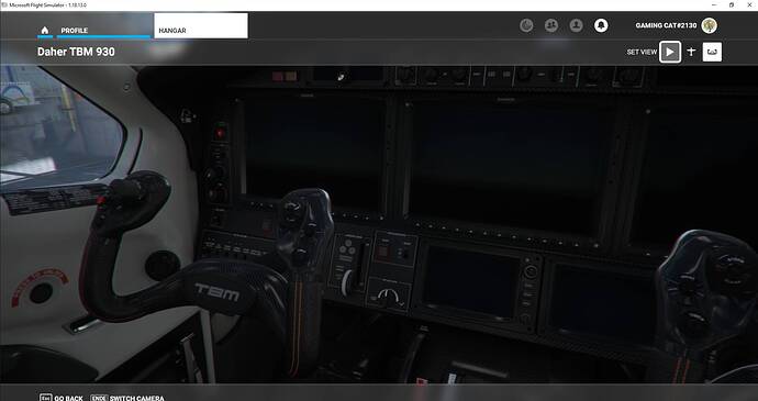Microsoft Flight Simulator 30.07.2021 00_16_08