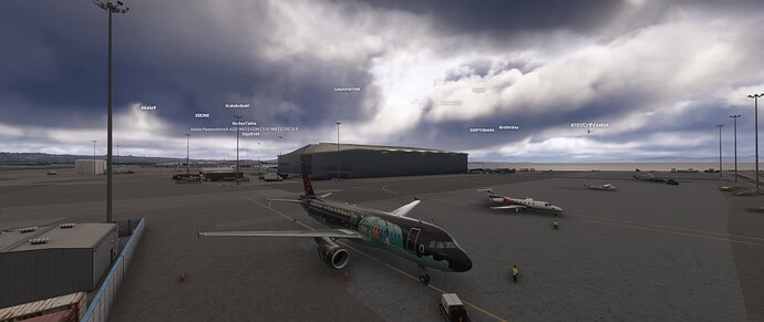 Microsoft Flight Simulator 2024 25-4-2025 20_14_02