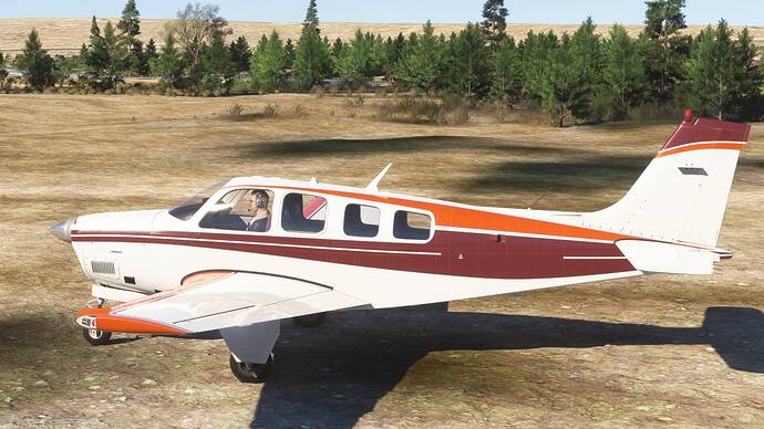 Microsoft Flight Simulator 2024 03_11_2025 21_34_21