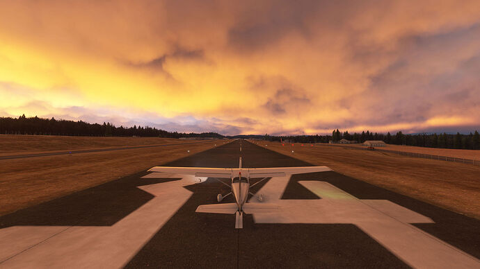 FS2024 2025-01-23 101