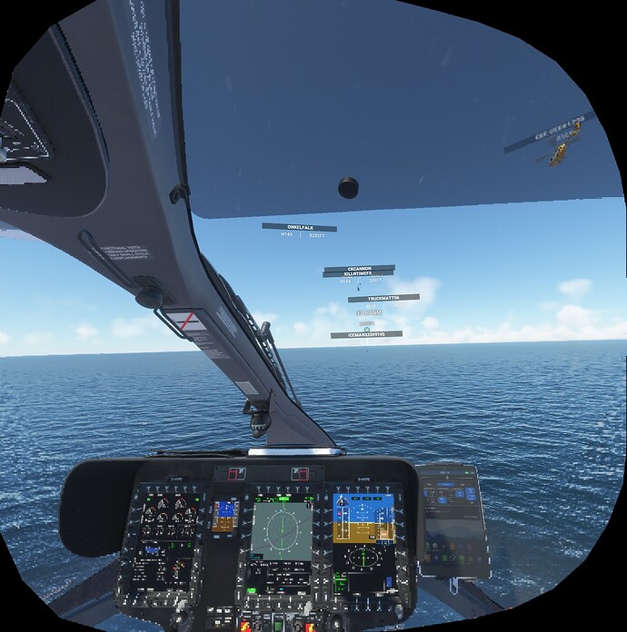 FS2020_20220612_203018_NIS_85_20_L