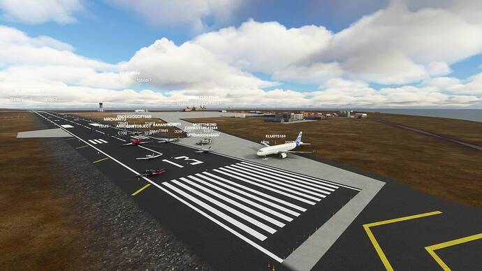 Microsoft Flight Simulator 8_9_2021 11_34_36 AM
