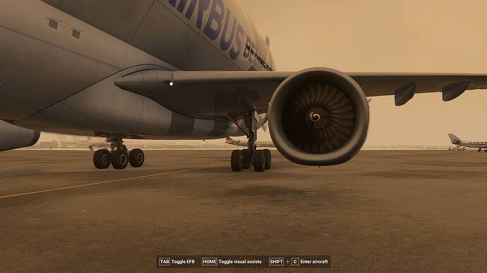 Microsoft Flight Simulator 2024_2026.02.23-23.07