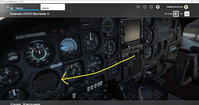 Microsoft Flight Simulator 17.01.2022 12_44_07 (1)